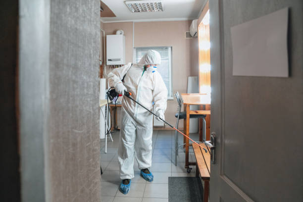 Best Air Quality Testing for Mold Spores  in Hillsboro, TX