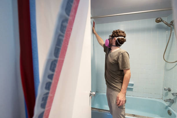 Best Mold Removal for HVAC Installations  in Hillsboro, TX