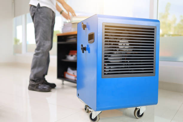 Best HVAC Mold Inspection and Cleaning  in Hillsboro, TX
